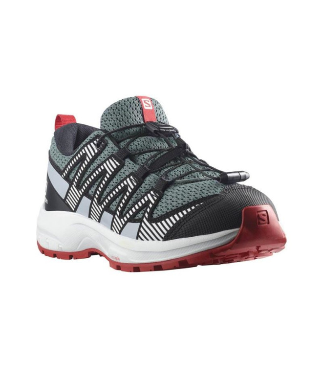 Chaussures Montagne Salomon de XA Pro V8...