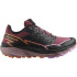 Sapatilhas Salomon Thundercross Mulher Preto