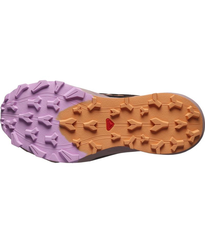 Sapatilhas Salomon Thundercross Mulher Preto