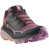 Chaussures Salomon Thundercross Femme Noir