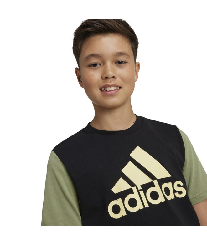 Camiseta adidas Essentials Big Logo Colorblock...