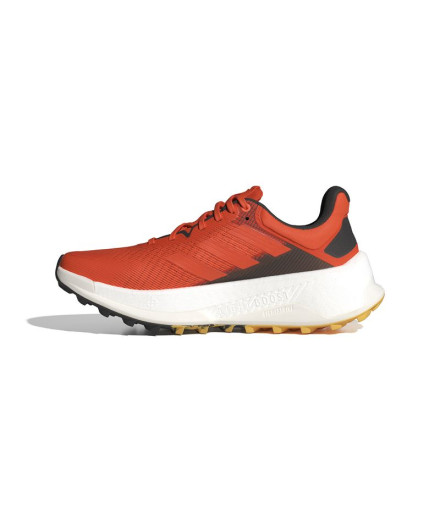 Chaussures adidas Terrex Soulstride 2