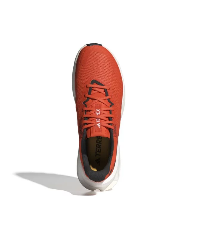 Zapatillas adidas Terrex Soulstride
