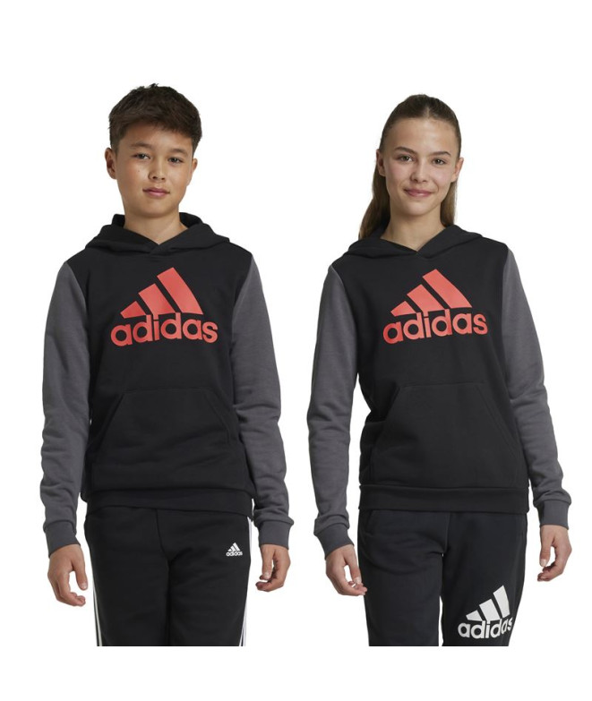 Sudadera adidas Essentials Big Logo Colorblock...