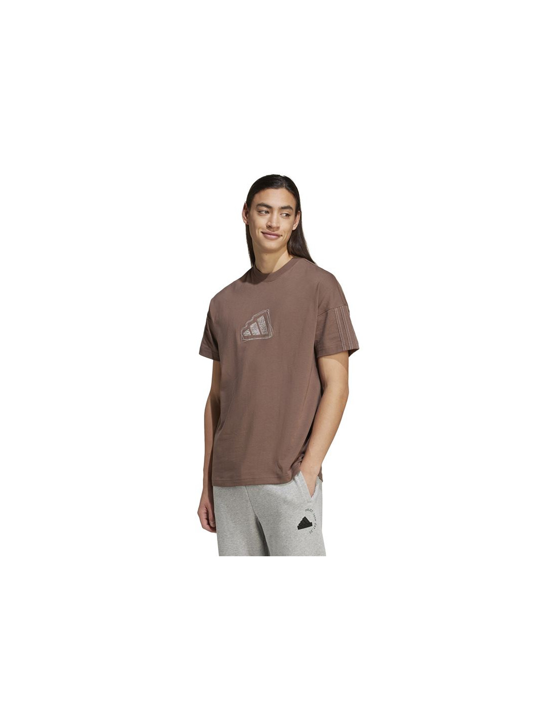 Camiseta adidas All Szn Graphic Seasonal Hombre Marron