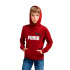 Moletom Casual Puma Essentials + 2 Col Big Logo Fl Menino