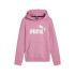 Moletom Puma Essentials + Logo Fl G Menina