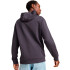Sudadera Casual Puma Rad/Cal Hooded Half-Zip Dk Hombre