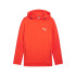Sudadera Casual Puma Evostripe Dk Hombre