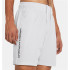 Pantalón de Fitness Under Armour Woven Wordmark Shorts Hombre Gris