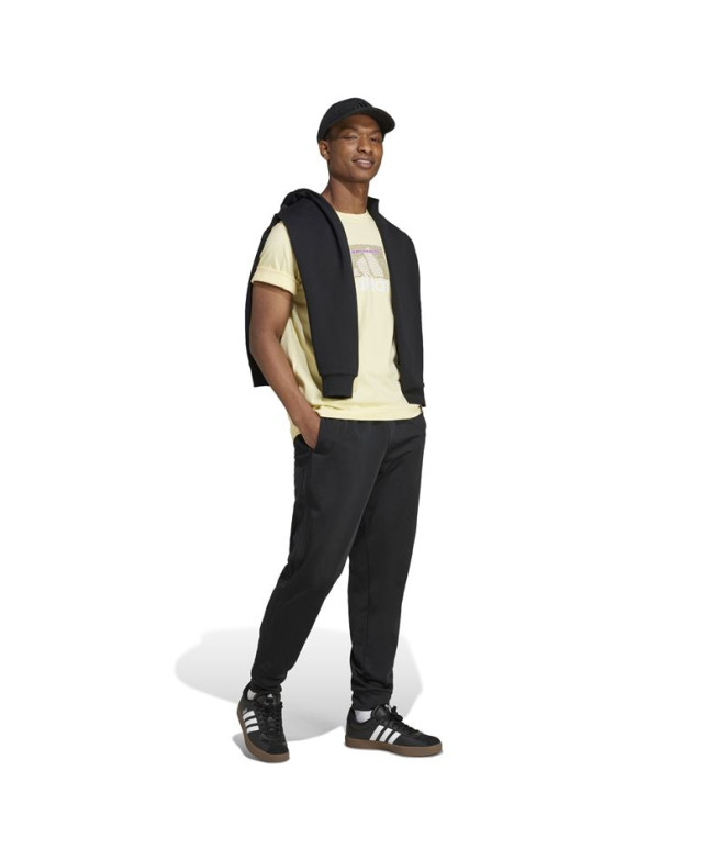 Camiseta adidas Codes Bos Graphic Hombre Amarillo