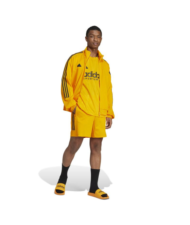 Pantalon adidas Pack Homme Maison du Tiro...