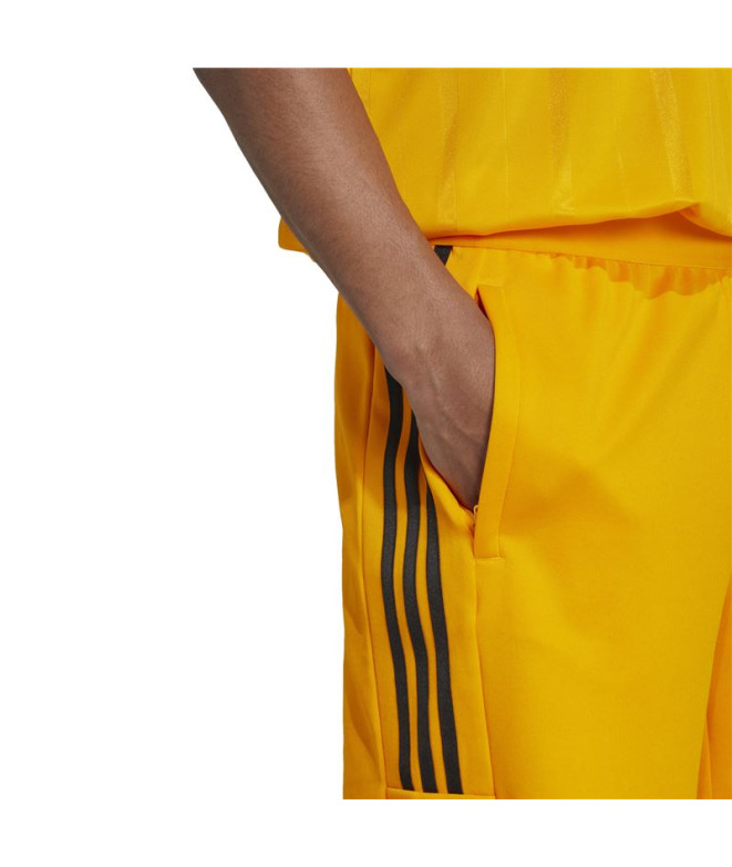 Pantalon adidas Pack Homme Maison du Tiro...