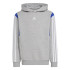 Moletom adidas Infantil Colorblock cinzento