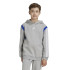 Sweat adidas Enfant Colorblock Gris