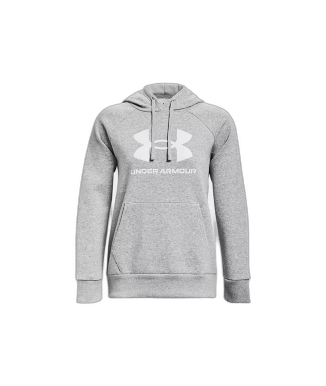 Moletom Fitness Under Armour Mulher by Rival Fleece Big Logo Cinzento