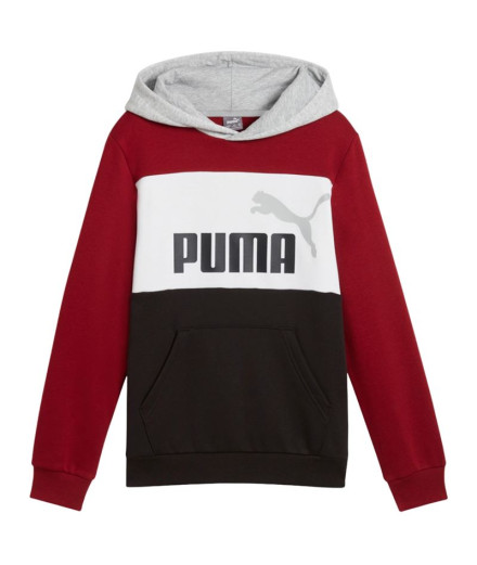 Moletom Casaco com capuz Puma Essentials Block Fl Menino