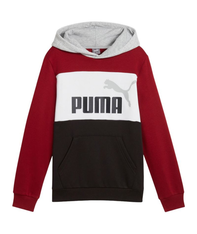 Moletom Casaco com capuz Puma Essentials Block Fl Menino