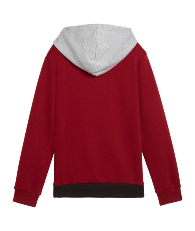Sweat Puma Essentials Block Hoodie Fl Enfant