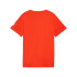 Camiseta Puma Graphics 2 Niño