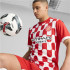 Camiseta Futebol de Puma Girona Home Jersey Réplica Homem