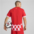 Camiseta Futebol de Puma Girona Home Jersey Réplica Homem