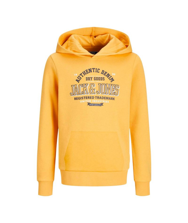 Moletom Jack and Jones elogo 2 Col 24/25 Honey Gold Menino