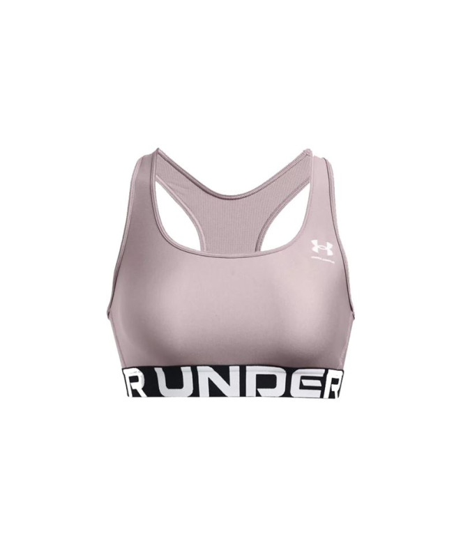 Sujetador Deportivo de Fitness Under Armour Hg Authentics Mid Branded Mujer Gris