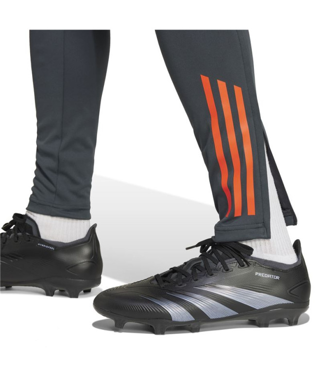 Futebol adidas Homem Pantaones de SL Benfica...
