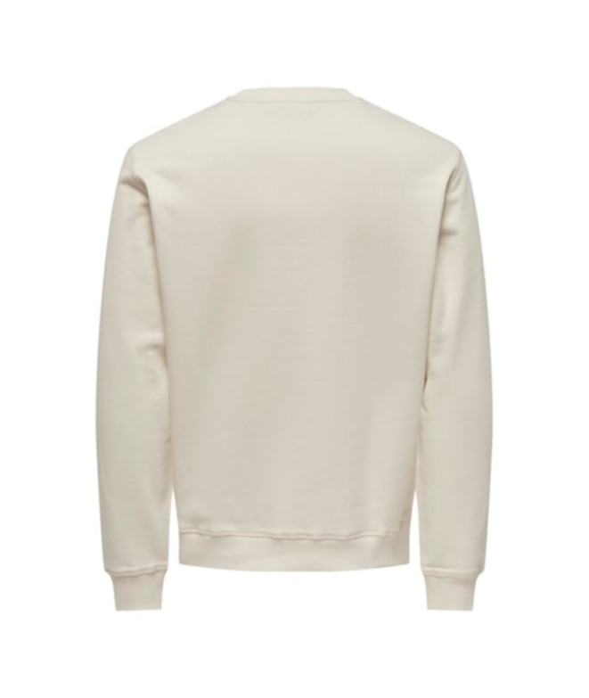 Sweat Only & Sons Onsdan Unshed Reg Crew Neck...