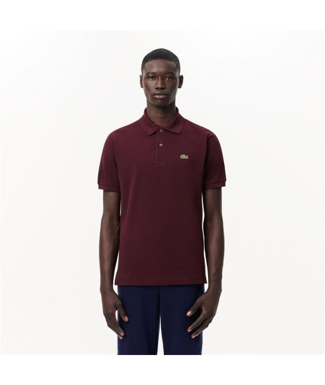 Polo Lacoste Chemise Col Bord-Cotes Bordeaux