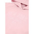 Sweat Champion Sweatshirt à capuche Homme Rose
