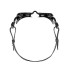 Lunettes de natation Zoggs Vision Noir Noir