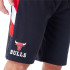 Pantalones New Era NBA PANEL OS Chicago Bulls Hombre