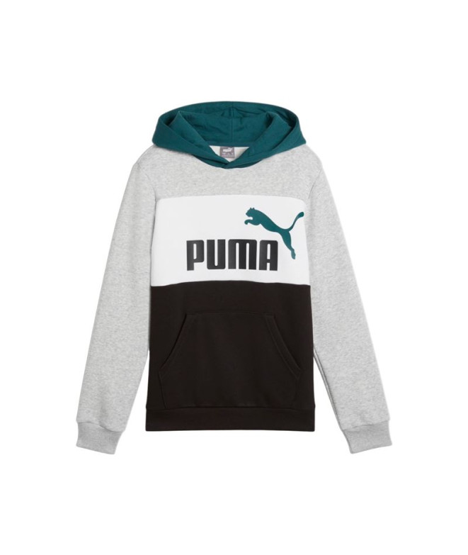 Moletom Casual Casaco com capuz Puma Essentials Block Fl Menino