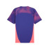 Camiseta de Fútbol Puma Individualfinal Hombre