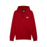 Moletom Casual Puma Essentials+ 2 Col Small Logo Fl Homem
