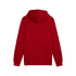 Moletom Casual Puma Essentials+ 2 Col Small Logo Fl Homem