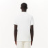 Polo Lacoste Homem Camisa de noite Col Bord-Cotes Branco