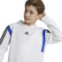 Moletom adidas Infantil Moletom com capuz colorido branco