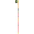 Bastones de Trail Leki Ultratrail Fx.One