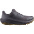 Sapatilhas Salomon Mulher Elixir Tour Wp9 Cinzento