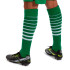 Meias Joma Homem Premier II Verde Branco