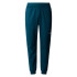 Pantalons The North Face Jogger Reaxion Petrol Bleu