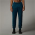 Pantalons The North Face Jogger Reaxion Petrol Bleu