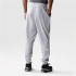 Pantalones The North Face Jogger Reaxion Hombre Gris