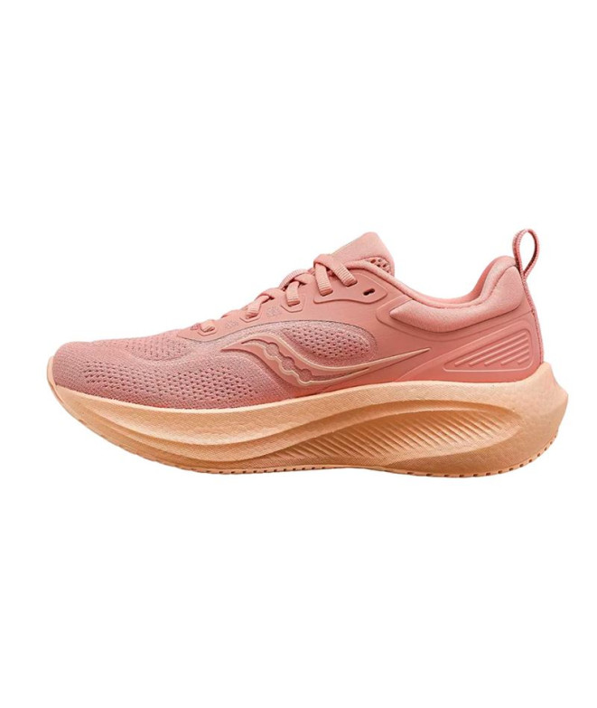Chaussures Running Saucony de Surge 3/Clay Femme