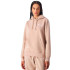 Moletom Champion Homem Sweatshirt com capuz Wtp
