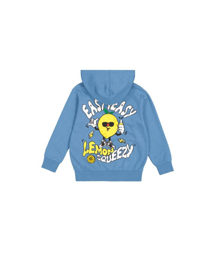 Sweat Champion Homme Sweat à capuche Cbu 2