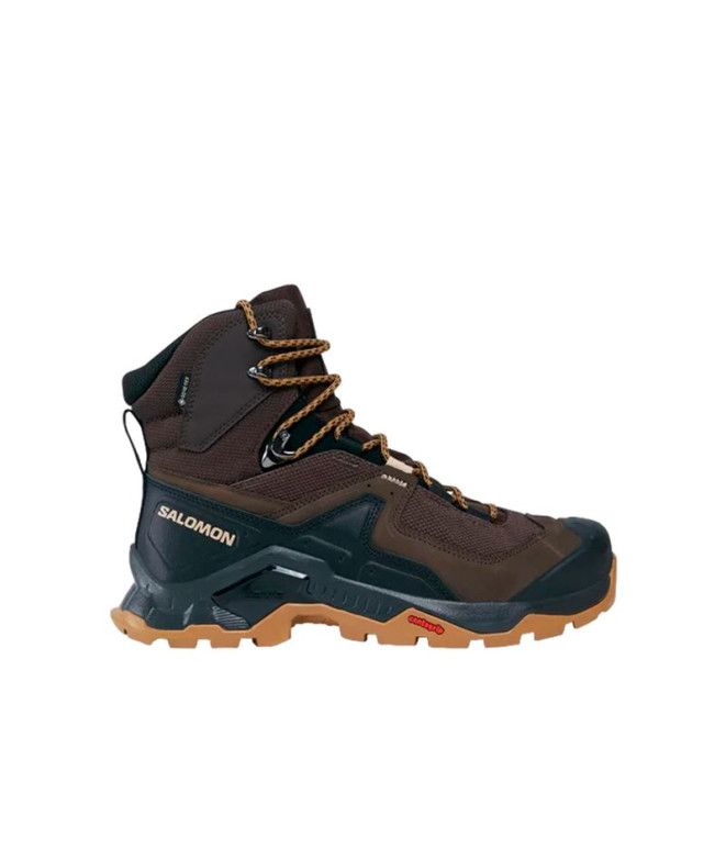 Botas de Montagne Salomon Quest Element Gore-Tex Marron/Noir Homme